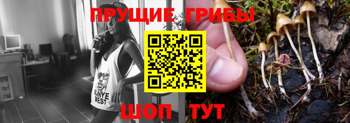 Галлюциногенные грибы Cubensis Старая Купавна